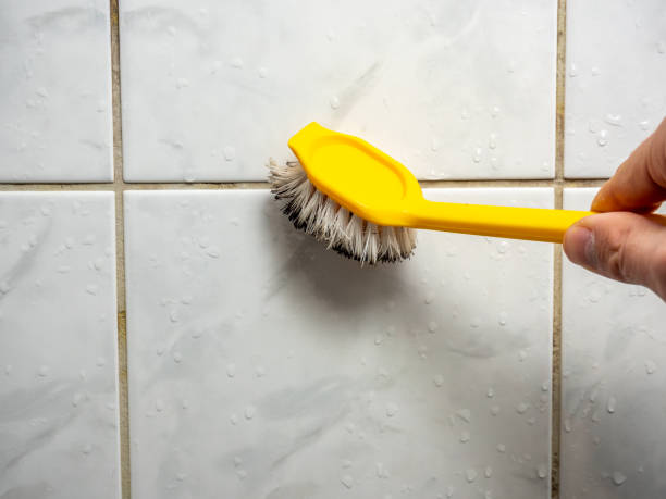 Best Commercial Mold Remediation in Gnadenhutten, OH