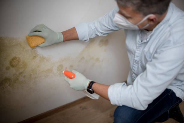 Gnadenhutten, OH Mold Remediation Company