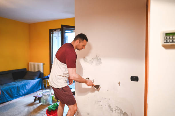 Best Preventive Mold Services in Gnadenhutten, OH