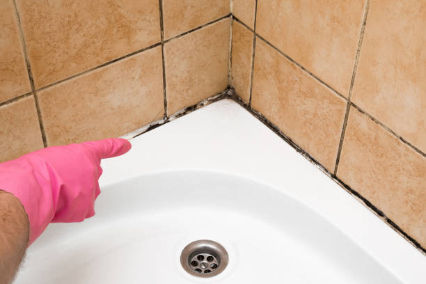 Best Residential Mold Remediation in Gnadenhutten, OH